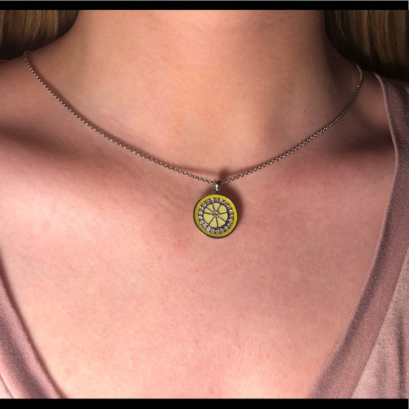 Lime slice necklace - Picture 1 of 3